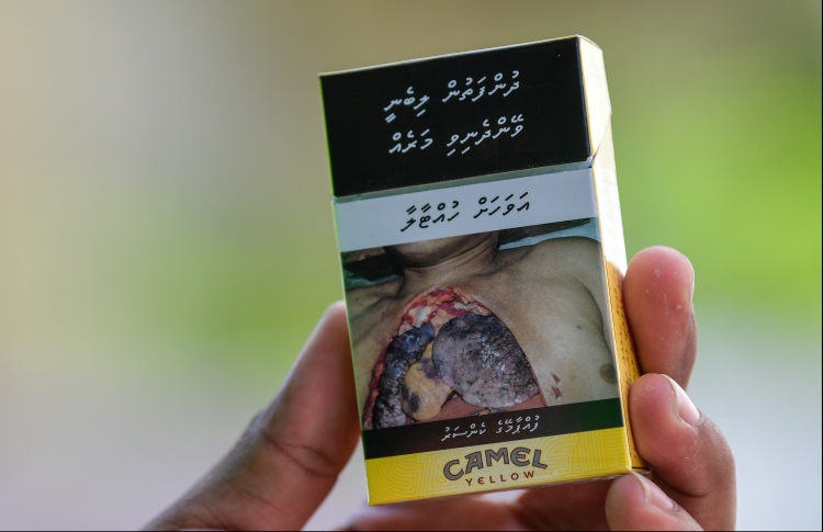 ދުންފަތުގެ ބާވަތްތައް ވިއްކަން 200 އަށްވުރެ ގިނަ ލައިސެންސް ދީފި
