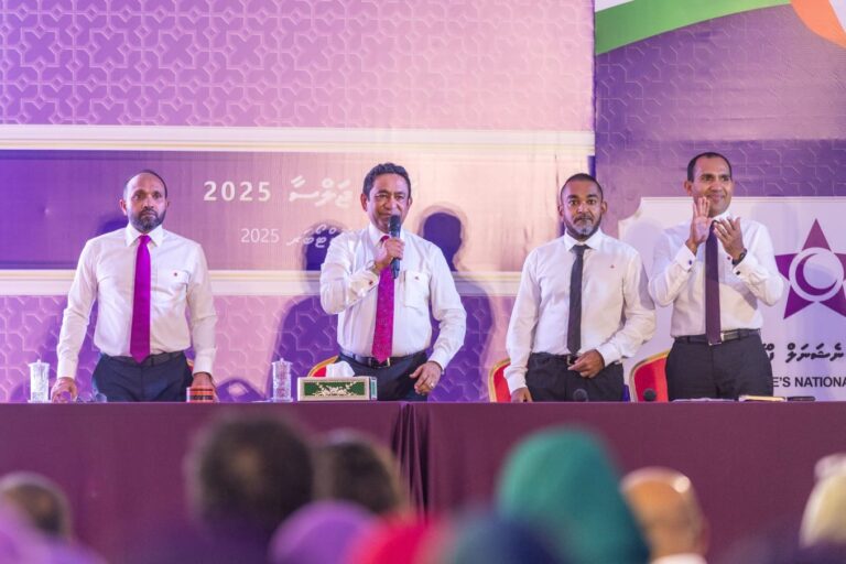 ޕީއެންއެފްގެ ރައީސަކަށް ޔާމީން, ނައިބުންނަށް ޒެއިން އާއި ޖަމީލް