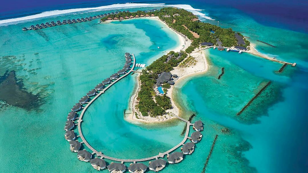 ސިނަމަން ވެލިފުށި ރިސޯޓްގެ ޑަސްބިން ތެރޭގައި މަރުވެފައިއޮއްވާ ފެނުނު ކުއްޖާގެ މައްސަލައެއްގައި މީހަކު ހައްޔަރުކޮށްފި