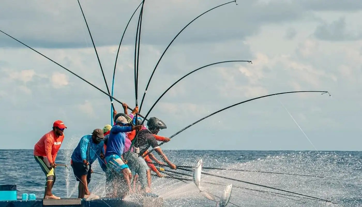މިފްކޯއިން މި އަހަރުގެ ފުރަތަމަ ކުއާޓަރުގައި މަސްވެރިންނަށް 88.8 މިލިޔަން ރުފިޔާ ދޫކޮށްފި