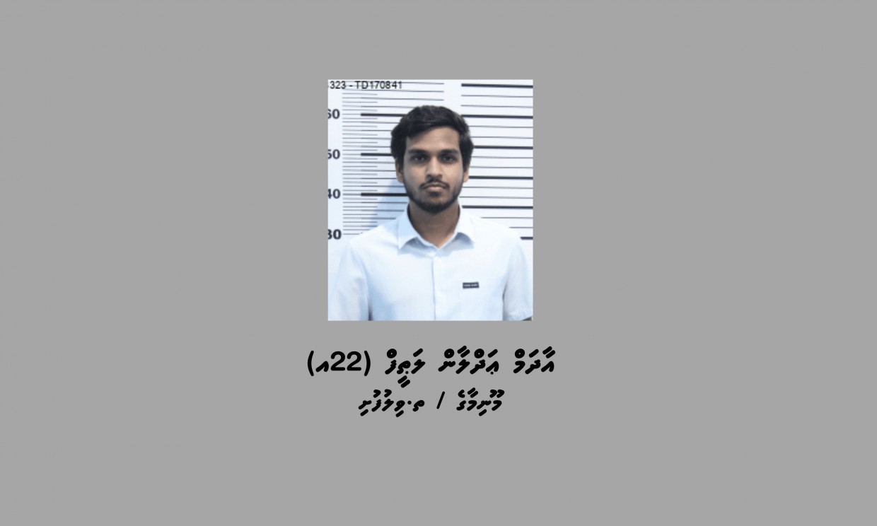 ޖިންސީ ގޯނާ ކުރާ ވީޑިއޯއާއި ފޮޓޯ ވިއްކާ ކަމުގެ ތުހުމަތުގައި ދިވެއްސަކު ހައްޔަރުކޮށްފި