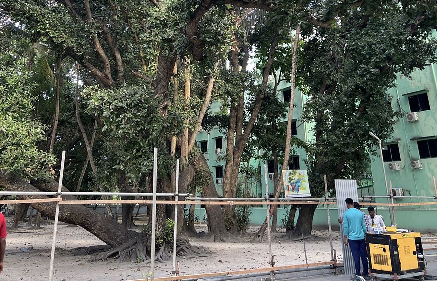 ގަސް ކަނޑަންޖެހޭތީ ވިލިމާލޭގައި އަޅާ ޓަވަރުގެ ލޮކޭޝަން ބަދަލުކޮށްފި
