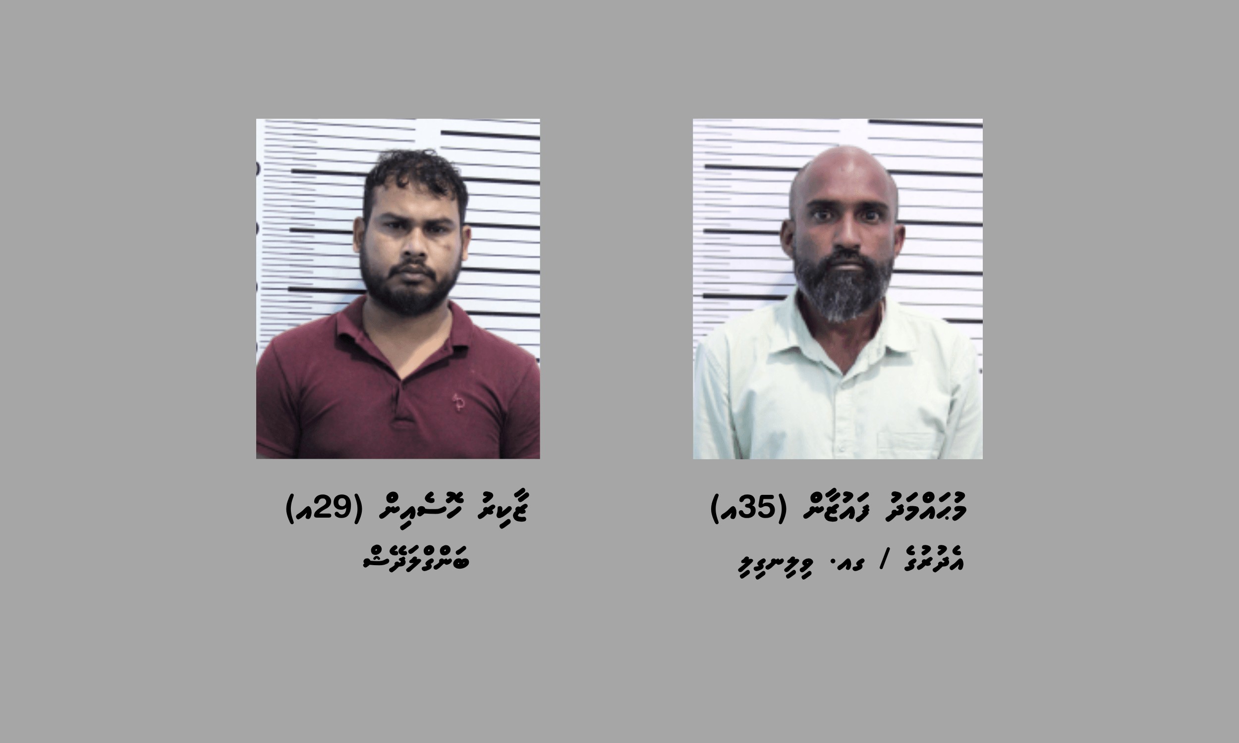 ކިލޯއަކަށްވުރެ ގިނަ މަސްތުވާތަކެއްޗާއެކު މާލެއިން ދެ މީހަކު ހައްޔަރުކޮށްފި
