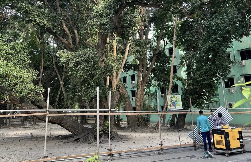 ޓަވަރު އެހެން ތަނަކަށް ބަދަލުކުރީ ވިލިމާލެ ފެހިކޮށް ބާއްވަން ބޭނުންވާތީ: ރައީސް