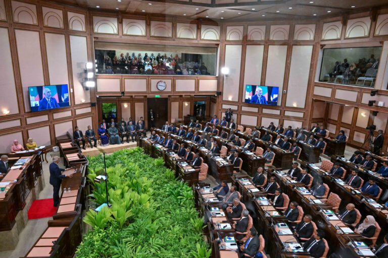 ޒުވާނުންގެ މަޖިލީހެއް ގާއިމުކުރުމުގެ މަސައްކަތް ކުރަނީ